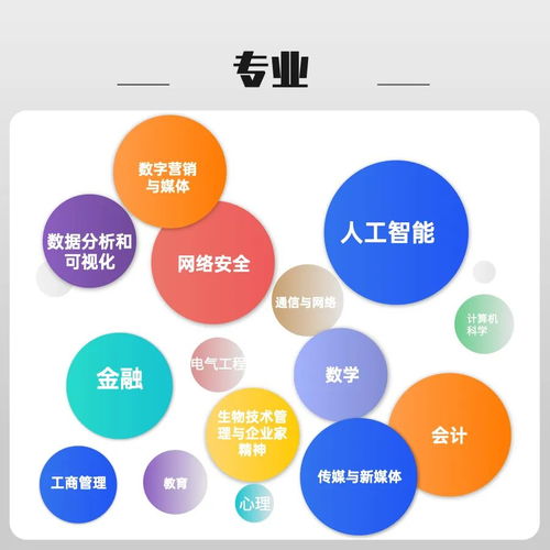 考研黨專屬機遇 熱門專業調劑名額開放，人工智能公共數據平臺成焦點